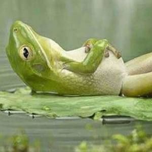 Meet your Posher, Janice